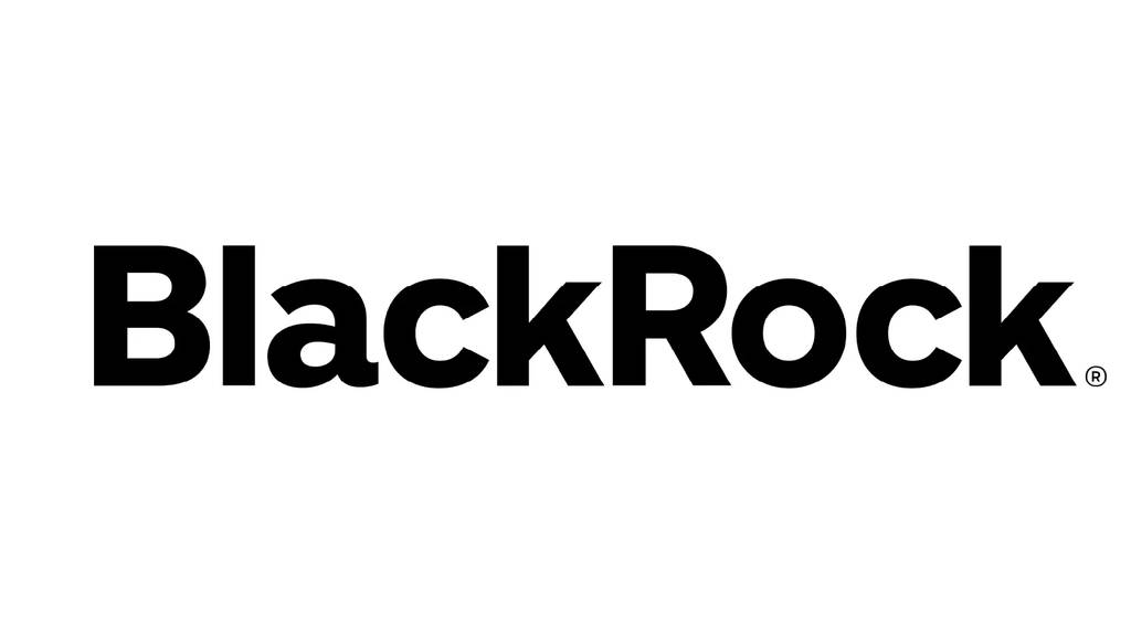 BlackRock logo image on white.