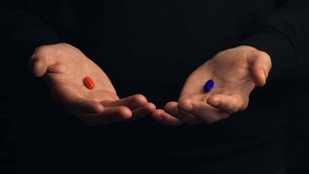 絶対的な真理、そして投資 썸네일 이미지